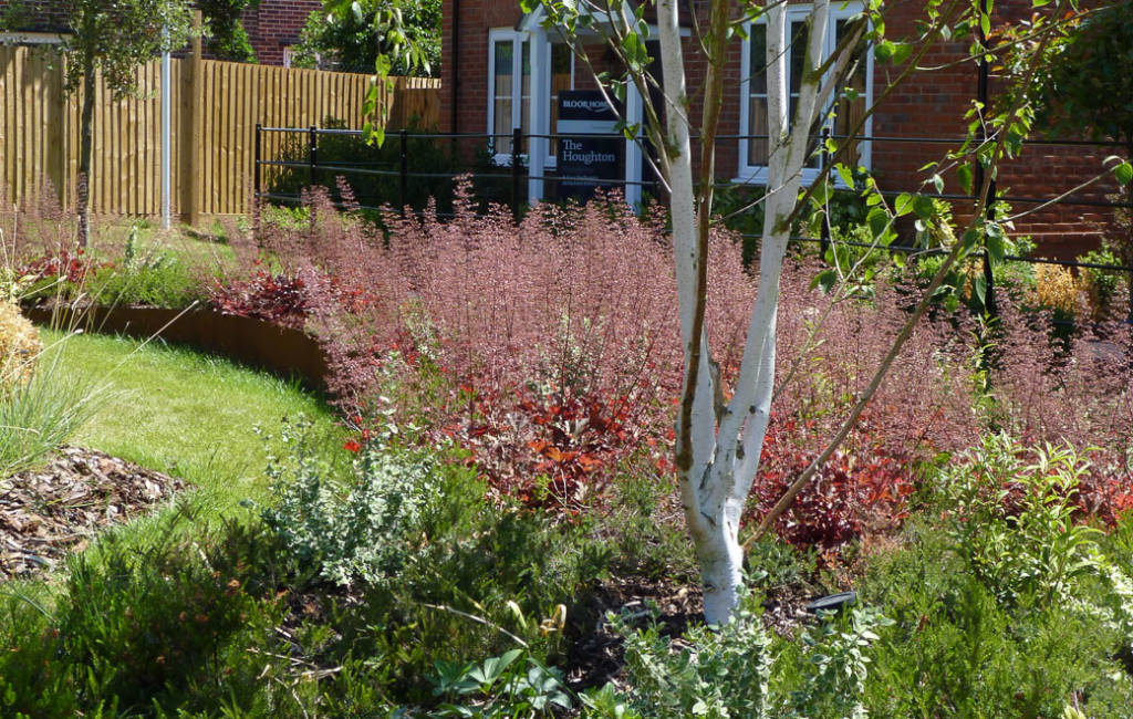 Communal Garden 4