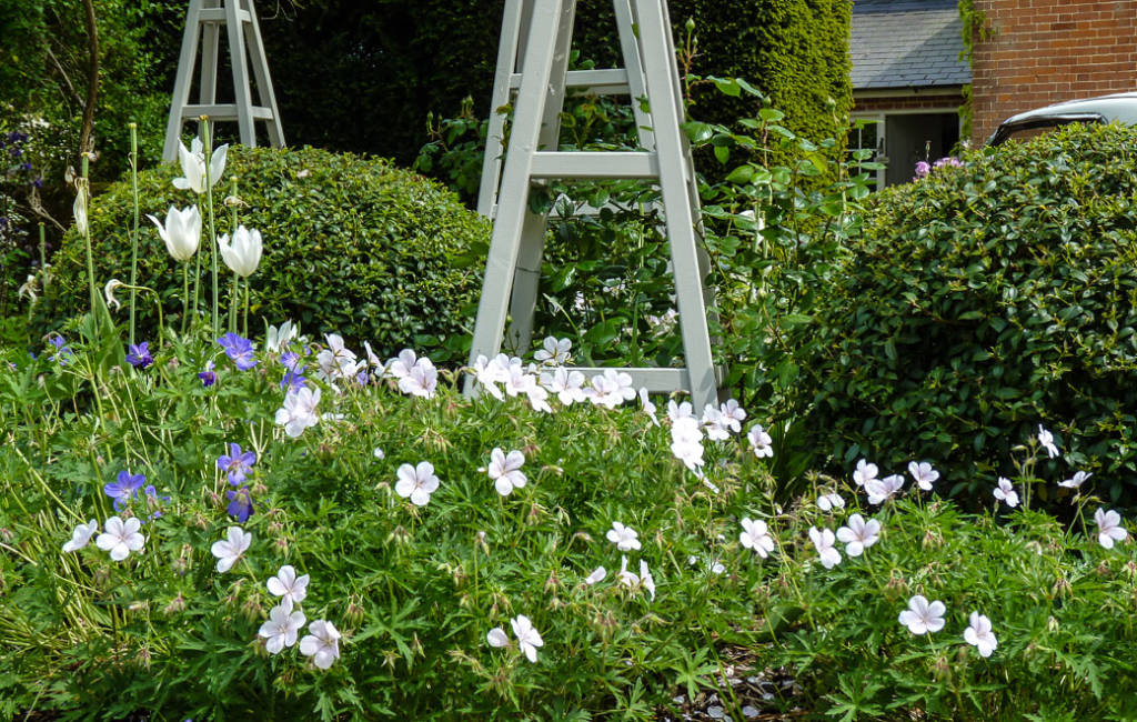 Formal Front Garden 3